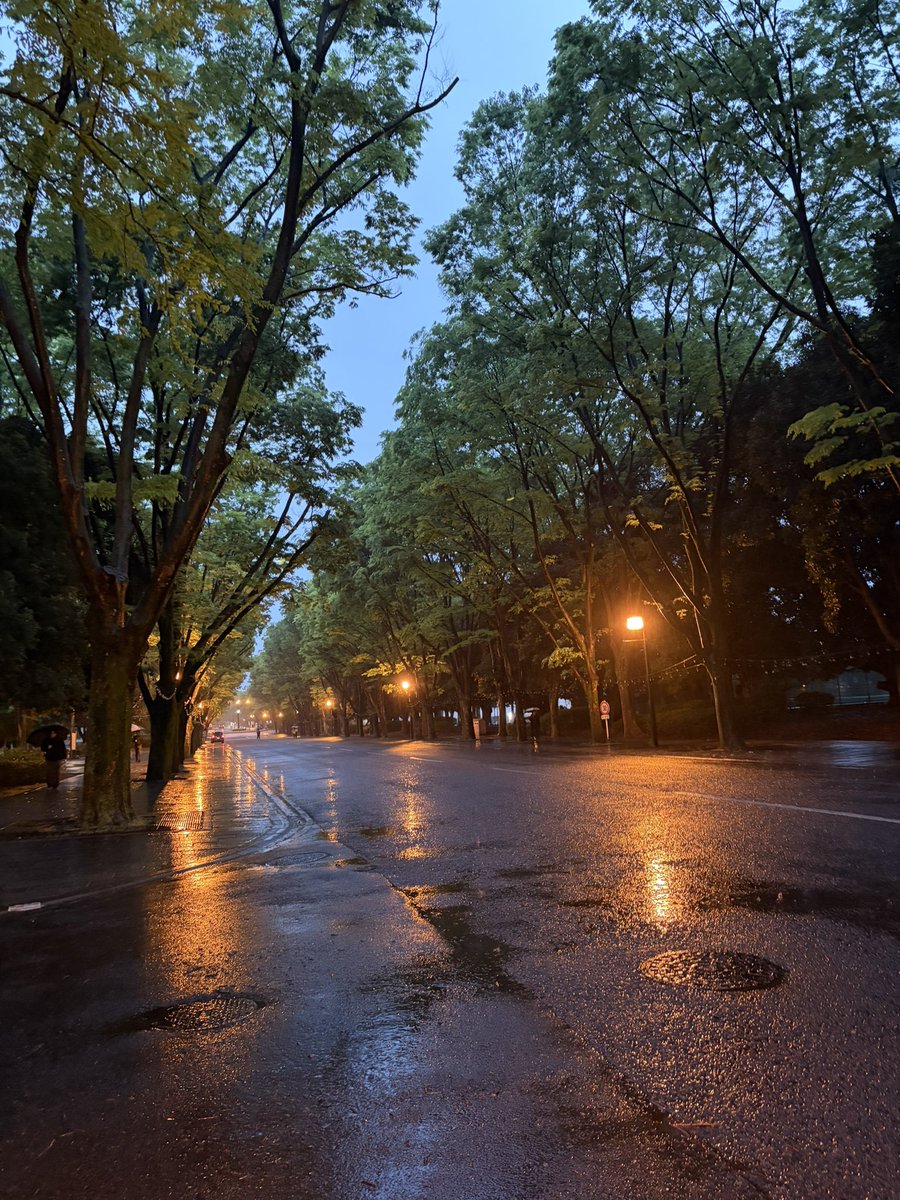 今日こそ頑張る tweet media