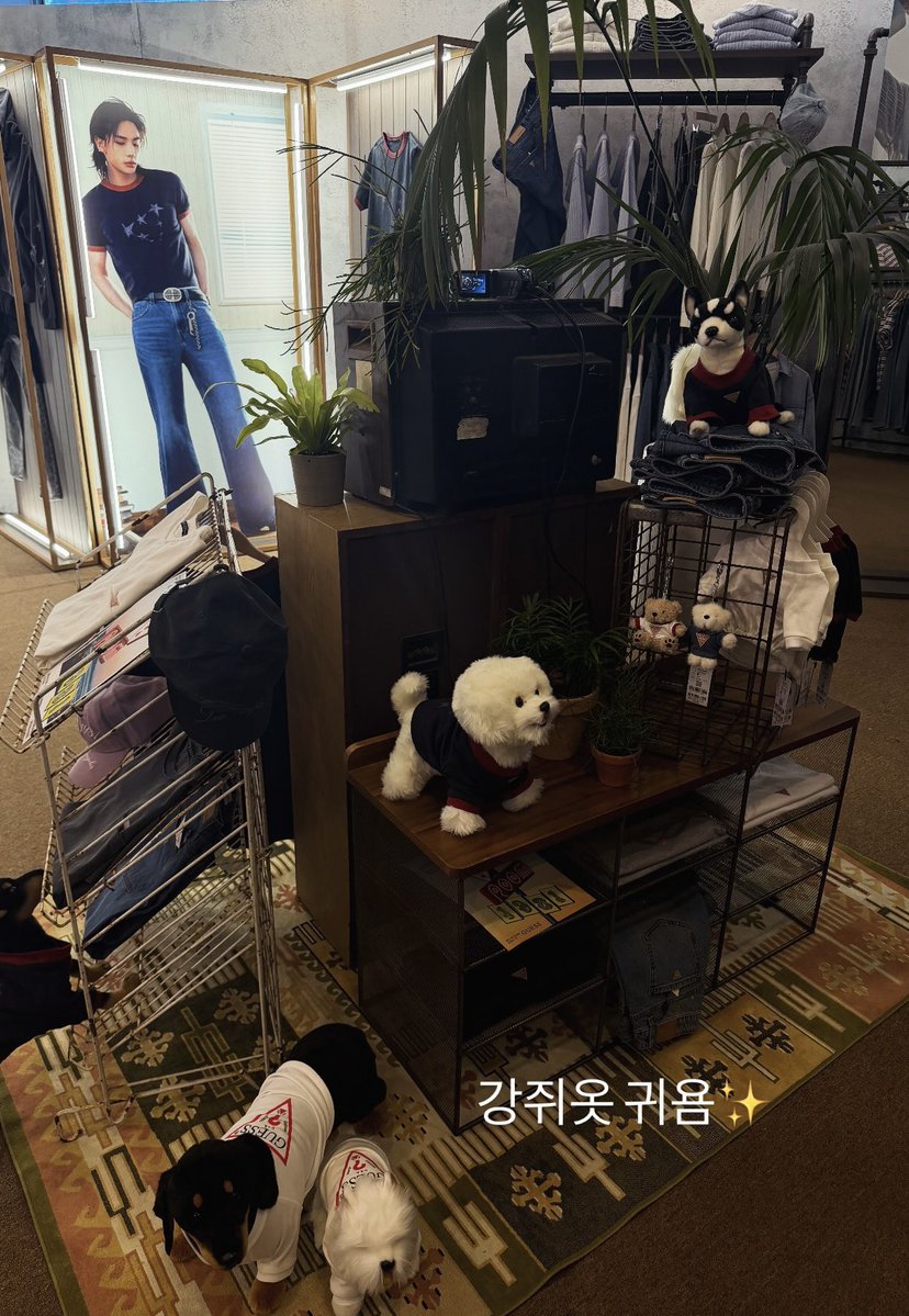 뽀짝만두 tweet media