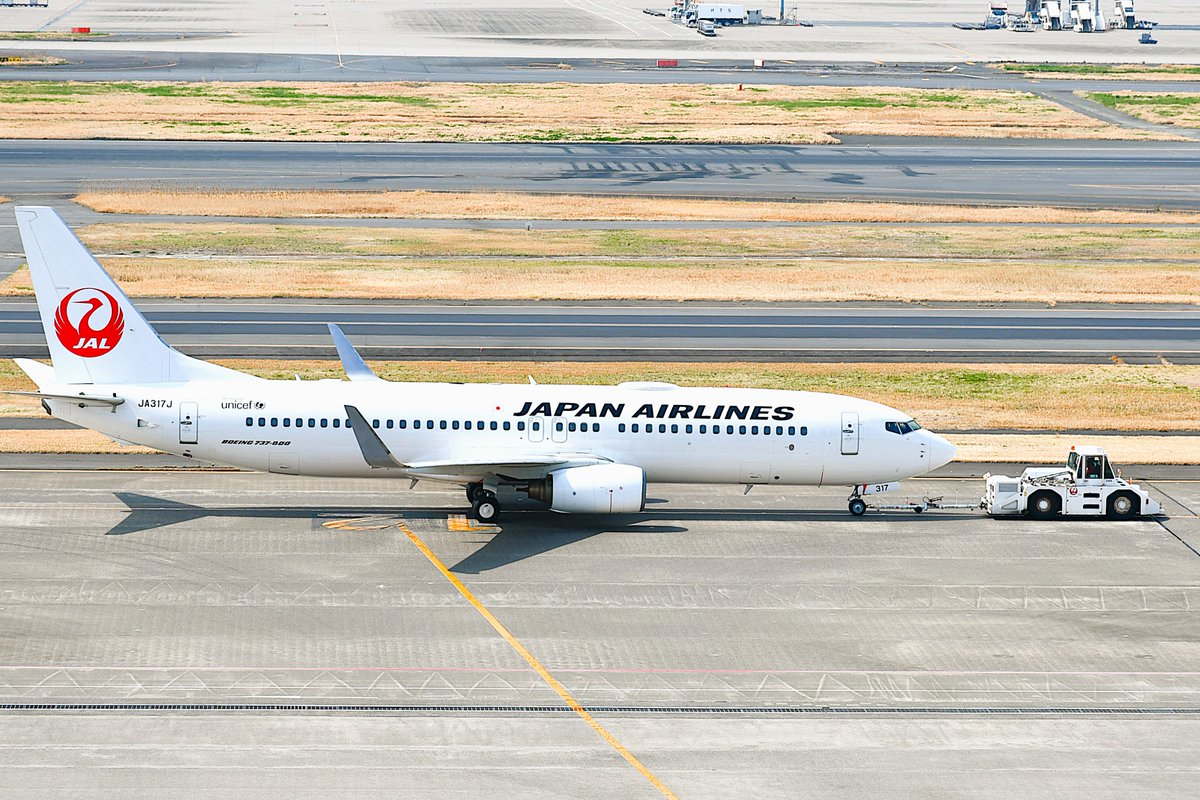 皆様、こんにちは☀️ #JAL #日本航空 #B737 #JA317J #羽田空港 #航空