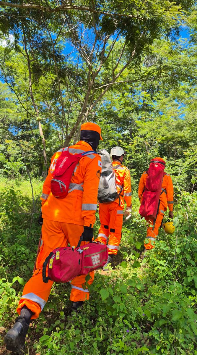 Bombeiros_MG's tweet image. Estamos prontos para salvar em todos os municípios de Minas Gerais.

Em caso de emergência, ligue 193!

#bombeiros