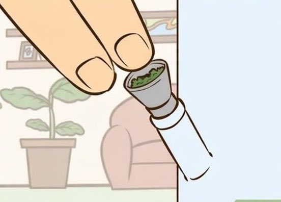 Sr. Weed tweet media