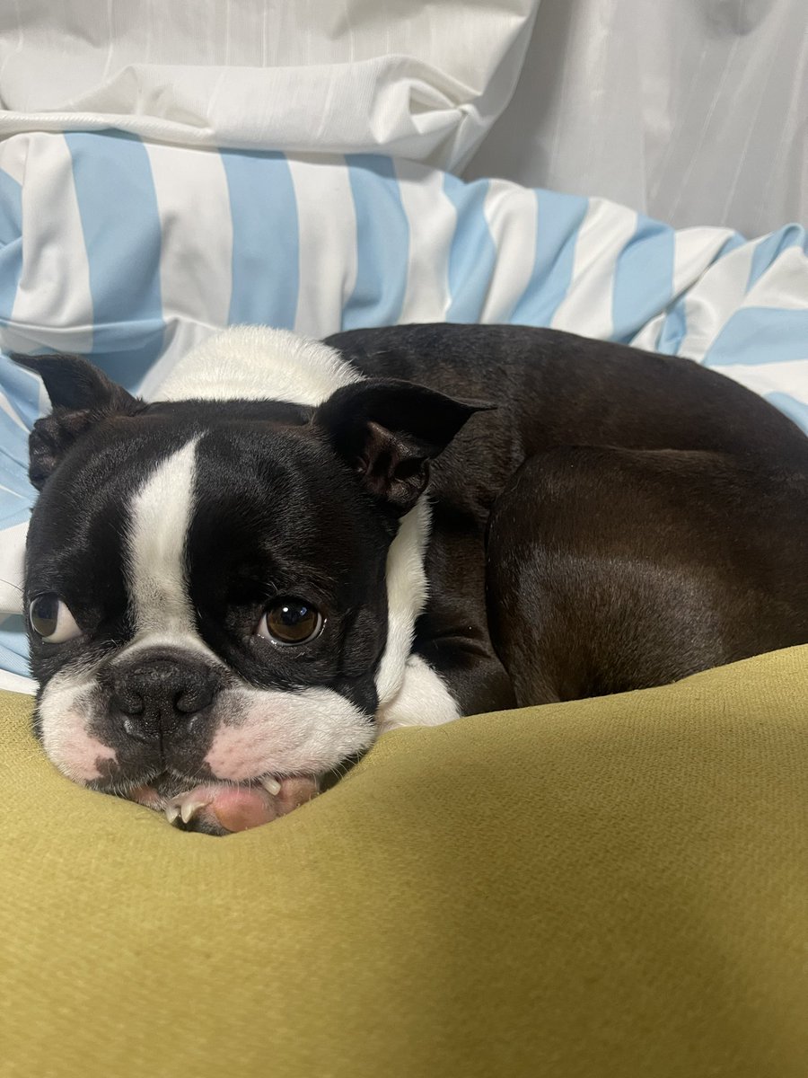 まこと tweet media