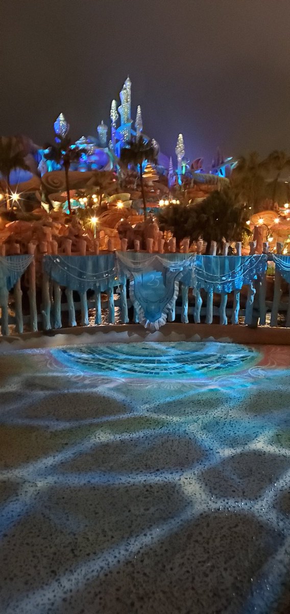 やす@再びアウラニで癒されたい tweet media