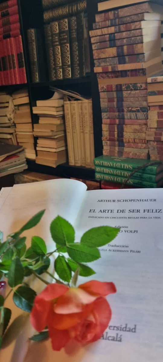 Merchedemelilla's tweet image. Feliz #DíaDelLibro 📚
"Los libros son un escondite donde nadie te busca."
Siempre dispuestos a hacerte soñar, reír, llorar y acompañarte en la vida.
#Libros #AmorPorLaLectura #LecturaEsVida #LeerEsSoñar #DíaDelLibro2026 #LibrosQueAcompañan #PasiónPorLeer #RefugioEnLosLibros