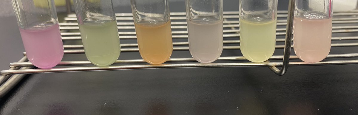 「細胞を創る」研究会若手の会 (a.k.a 合成生物学研究の若手の会) tweet media