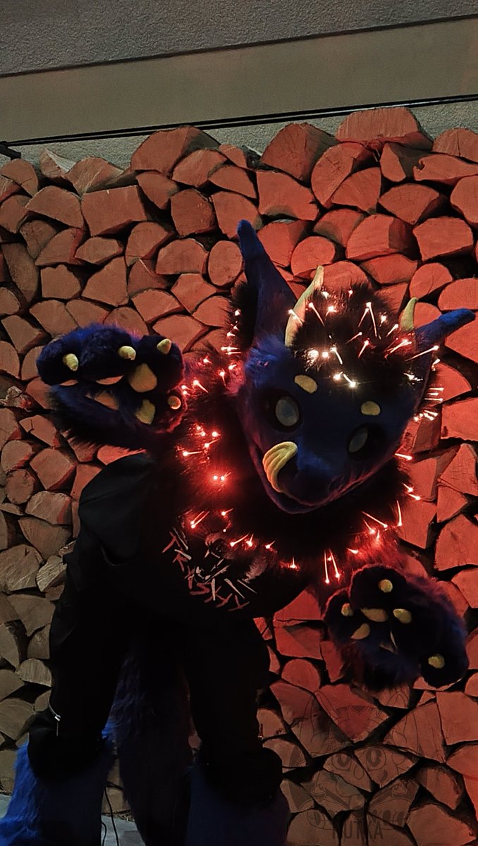 Nutka_Fursuits's tweet image. Z-grade the Nardoragon is done!

Base for the head, horns, ears, eyes and eye mesh were printed by t.me/print_it_all

#LEDlights #fursuit #fursuitmaker #furrycommuniy #paws