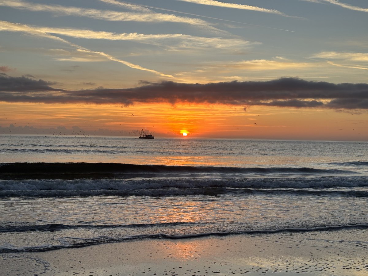 valkerie777's tweet image. Good morning from #Florida #sunrise #beachlife