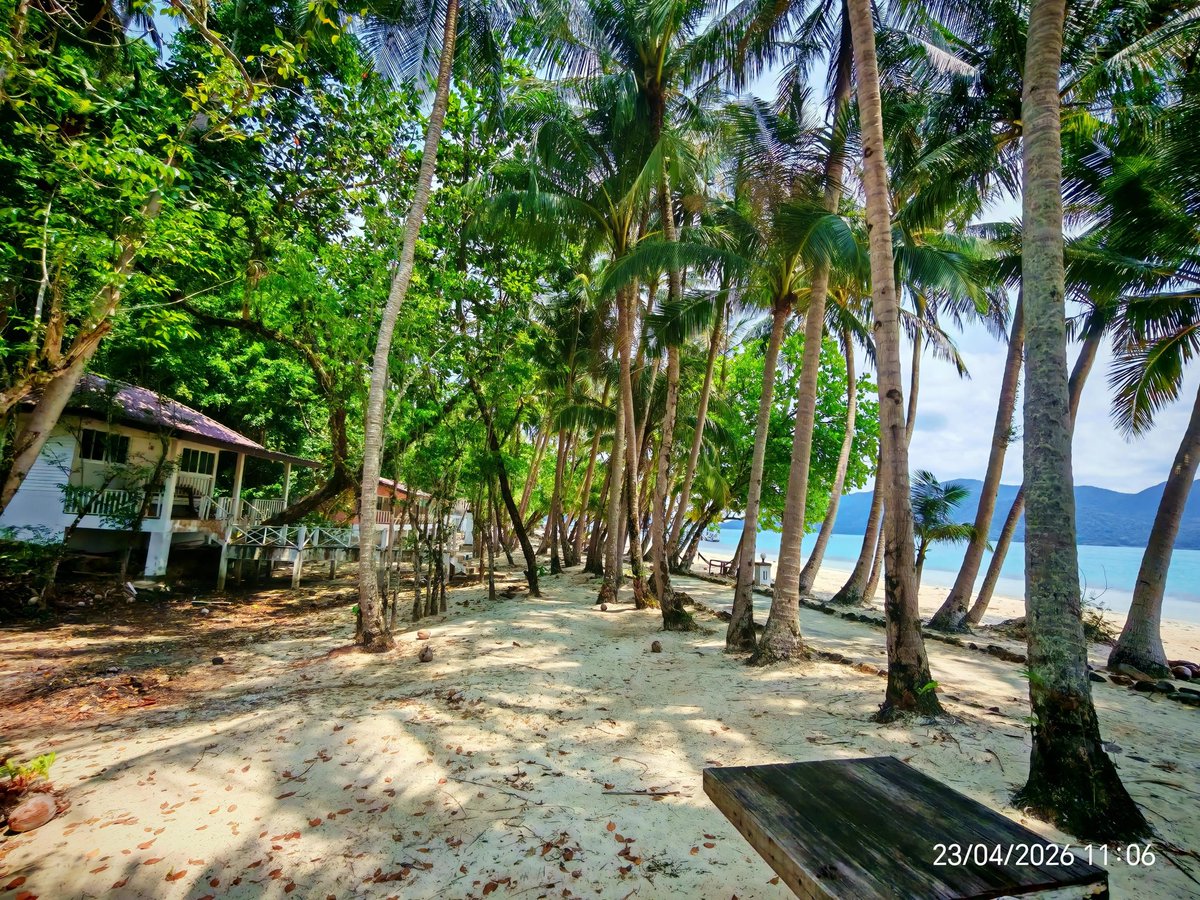 TrueAlphaWolf 🐺 tweet media