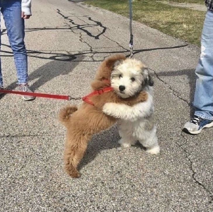 🍻도통 도전중! 메인트! 랴님 tweet media