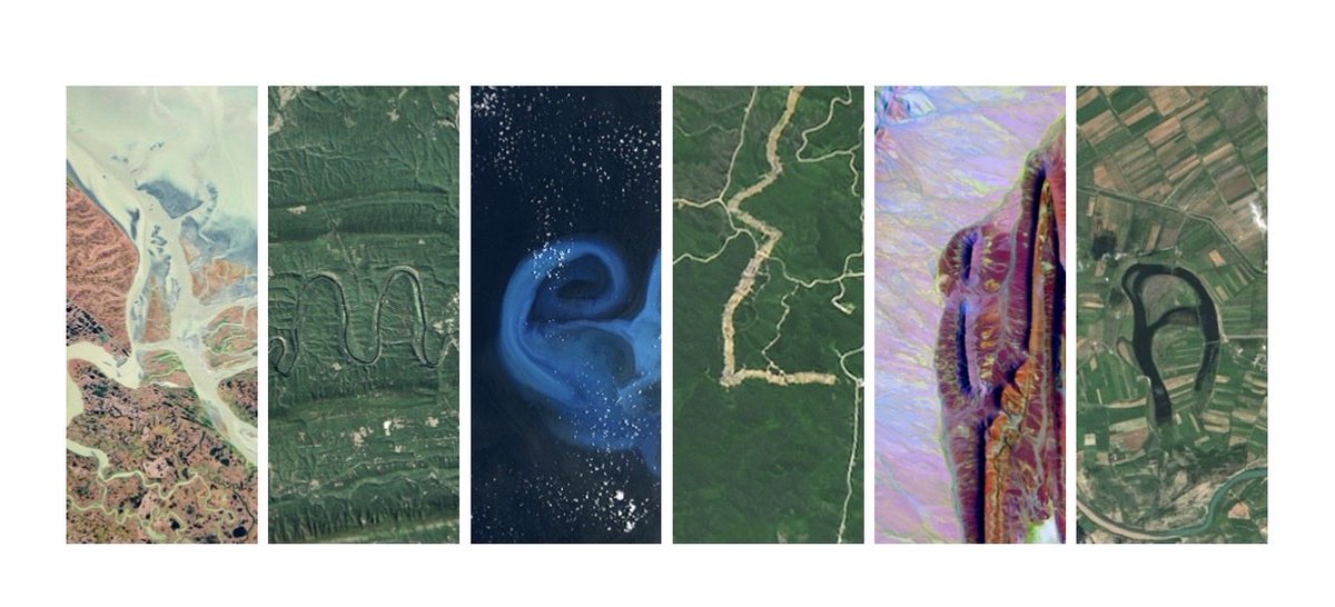 amelia 👠 tweet media