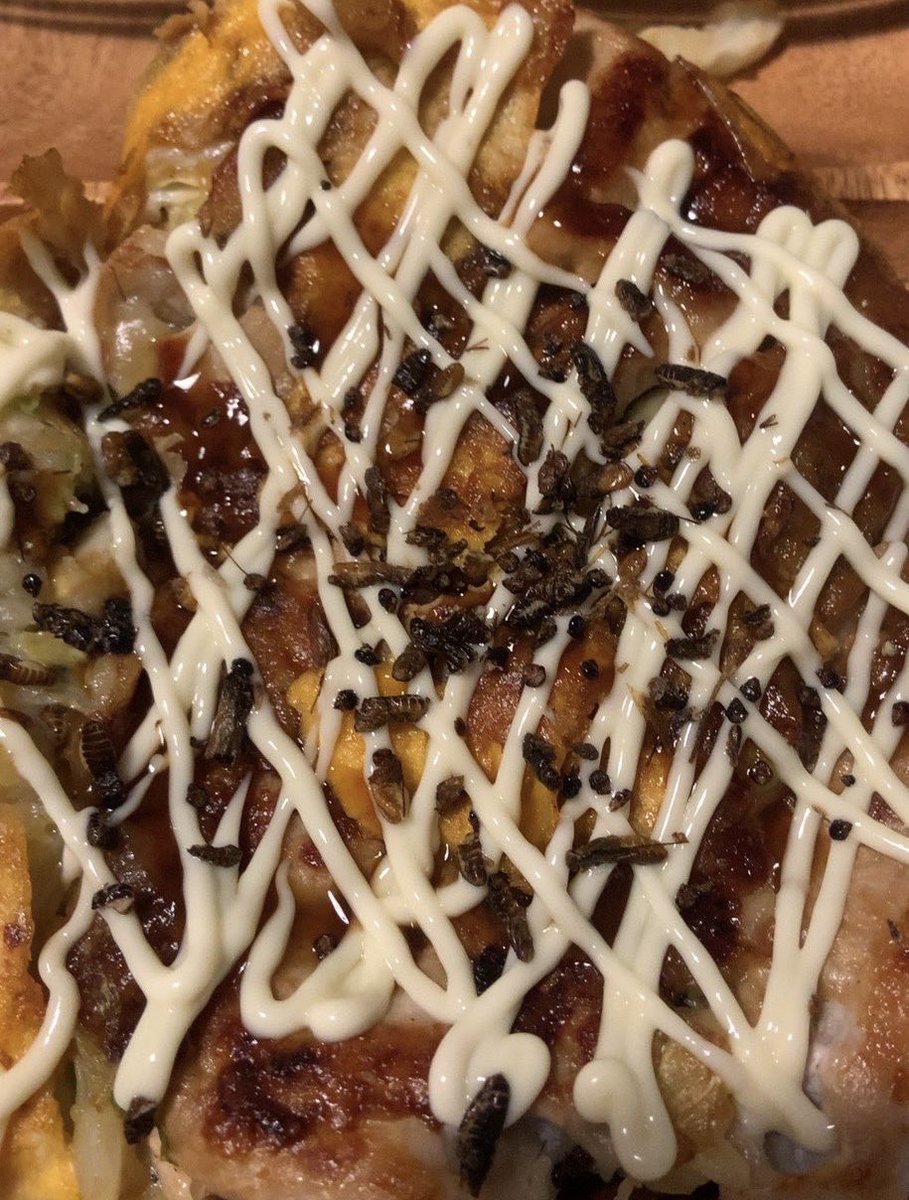 GOATJOKICMURRAY's tweet photo. 🐜のお好み焼き
ご馳走様でした😋
#bEATmin
#DENデ部 https://t.co/jv3wXNixWh