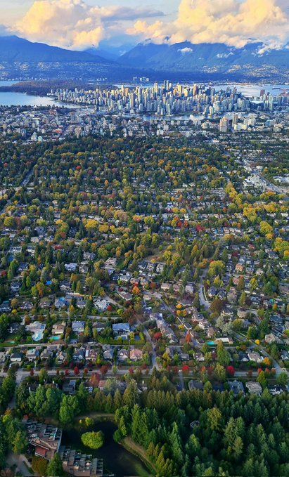 Wander Aesthetic tweet media