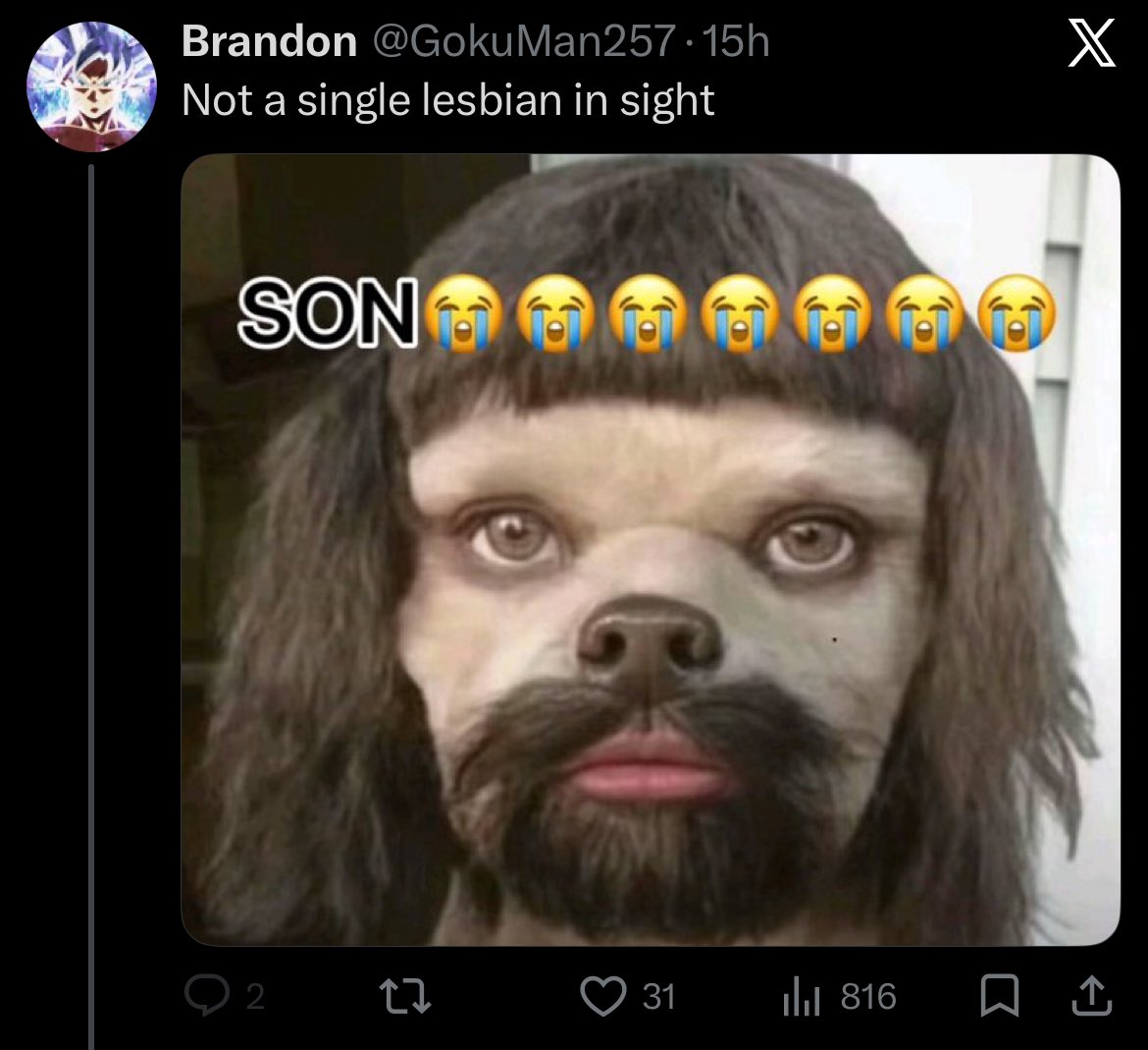 gabi .ᐟ tweet media