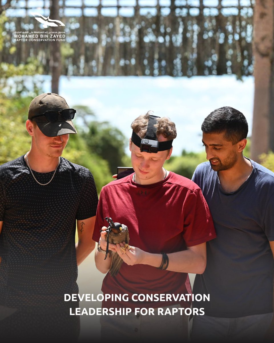 RaptorConservationFund tweet media