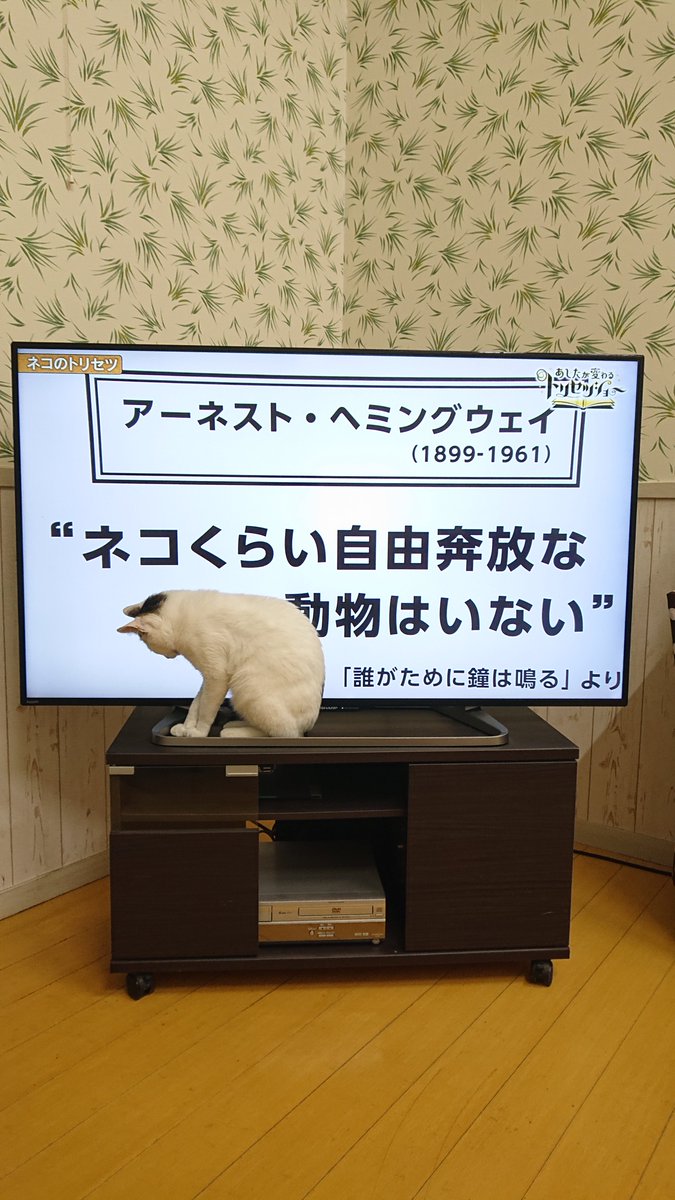 namaghost tweet media
