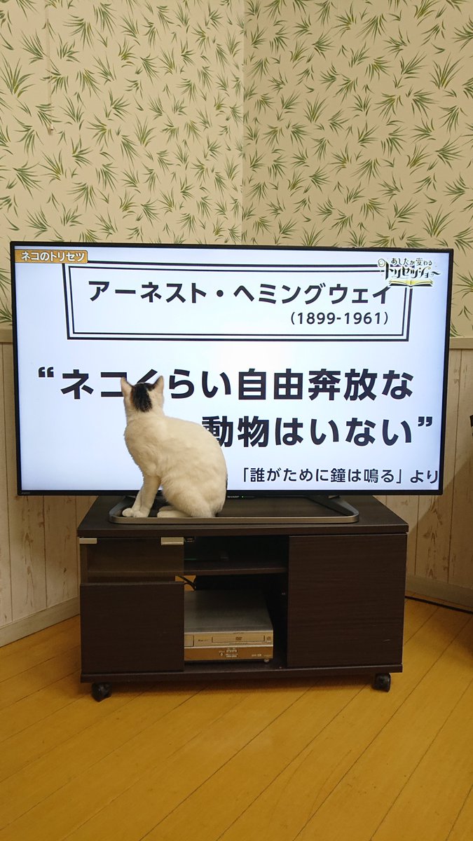 namaghost tweet media