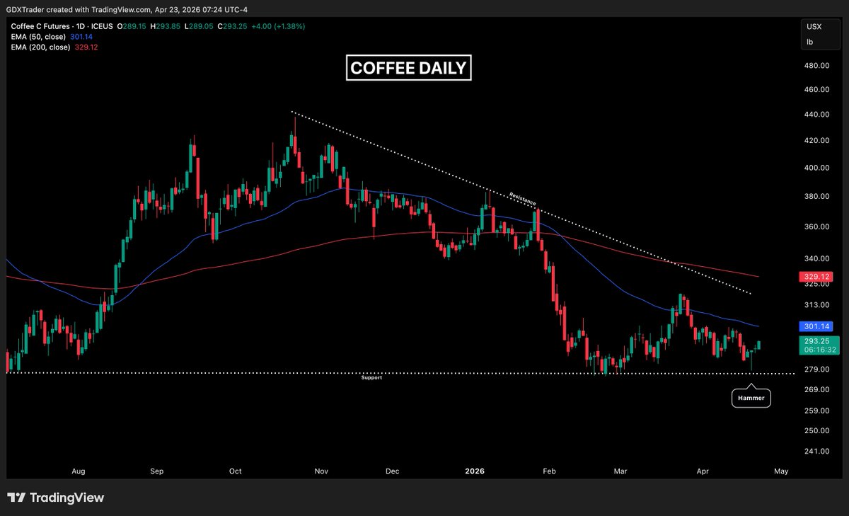 GDXTrader's tweet image. #COFFEE 

Coffee put in a solid hammer candle at horizontal support on Tuesday, signaling demand stepping in after a selloff and a potential short-term reversal. 

That was followed by confirmation yesterday, giving traders a pivot entry that is leading to a strong bullish