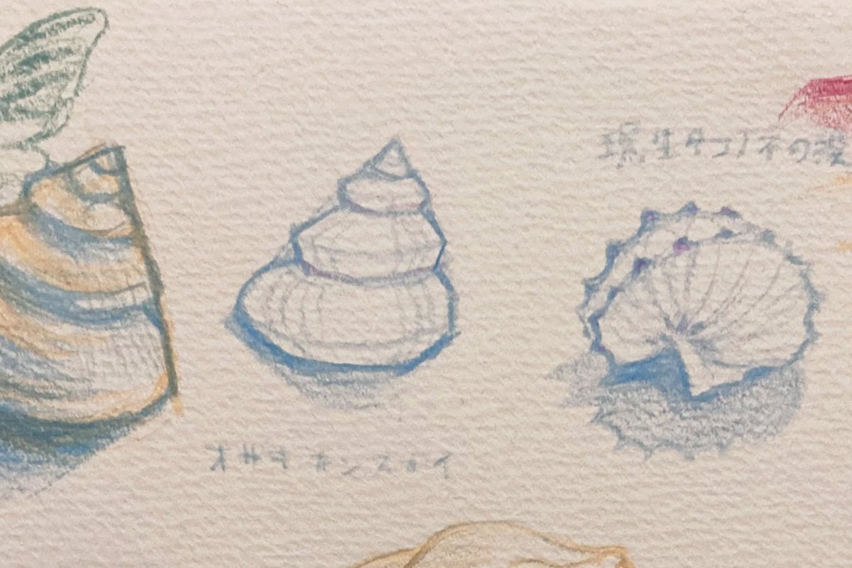 娜醬🌷 tweet media