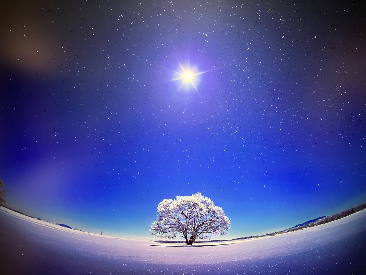 はにょ tweet media