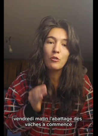 Comploplo Watch (...in the blue sky too)🦋 tweet media