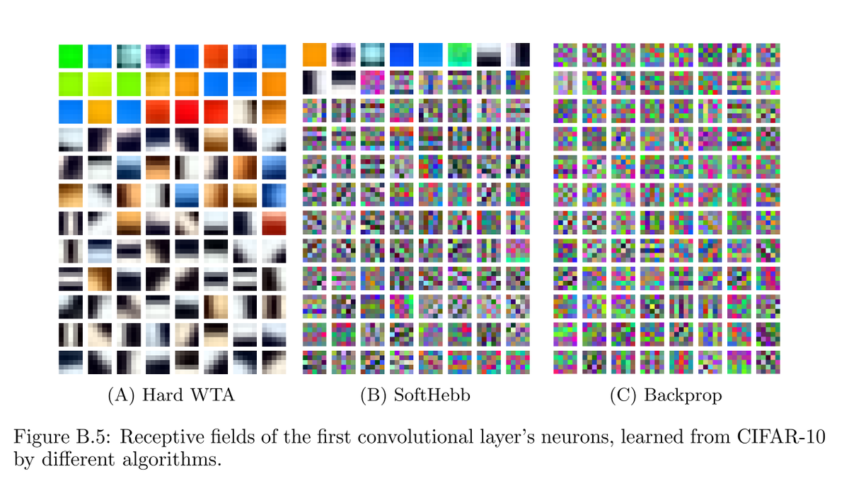 timos_m's tweet photo. True for most intents and purposes, but learning in ConvNets without backprop, with local learning rules instead, converges to quite different features.
Figure from our ICLR 2023 "Hebbian Deep Learning Without Feedback" (appendix B), where we showed you can pretrain multilayer nets even on ImageNet, with fully local learning, no backprop. That was previously thought impossible. At @noemon_ai we are now scaling local learning rules much further.