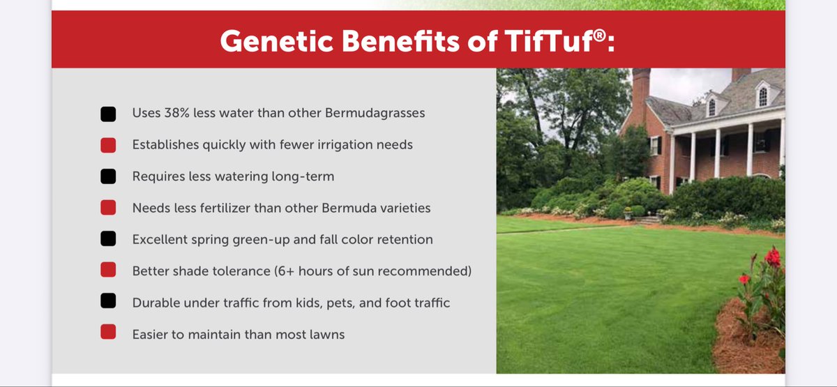TifTuf Turfgrass - Official Account tweet media