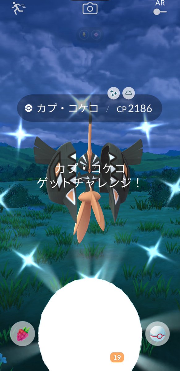 cham_dy1001's tweet image. フレさまレイドにて！
カプ・コケコ初キラリーン✨😍💗
 #ポケモンGO #PokemonGo #色違い #shinypokemon