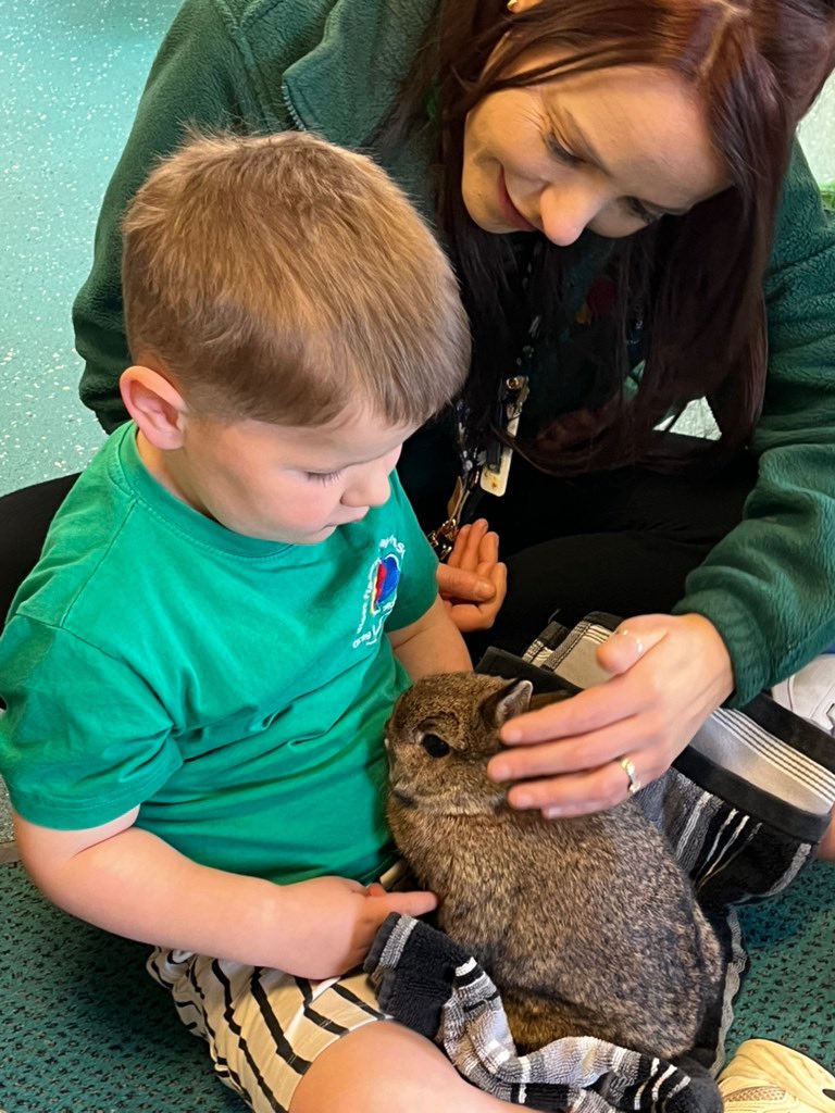 West Hallam Village Pre-School tweet media