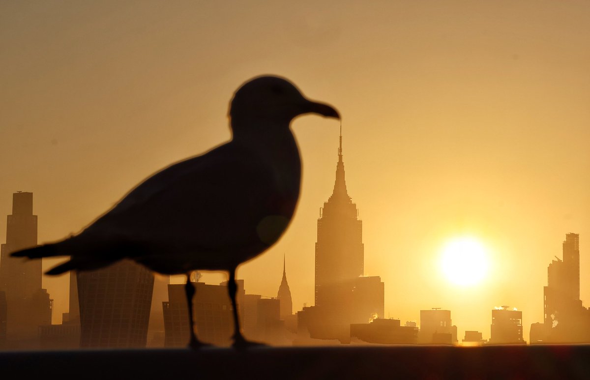 GaryHershorn's tweet image. The sun rises behind the Empire State Building and Chrysler Building in New York City, seen from along the Hudson River in Hoboken NJ, Thursday morning #newyorkcity #nyc #newyork #sunrise @empirestatebldg #hoboken