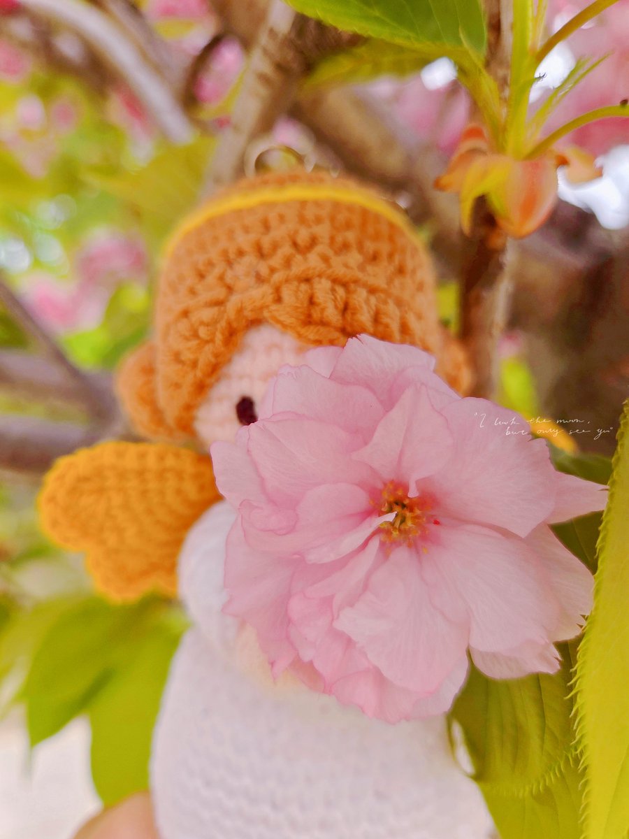 mooa之境 ᓚᘏᗢ tweet media