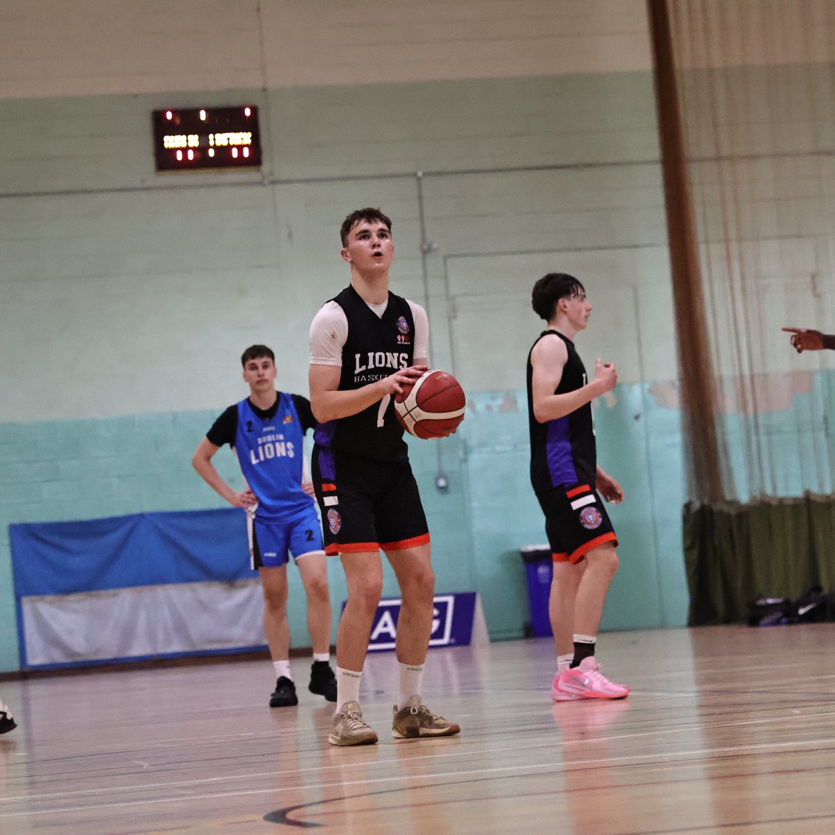 Basketball Ireland tweet media