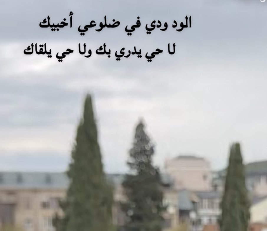 كـبـــير الـِـِِـِِِـِِـِـشـوق tweet media