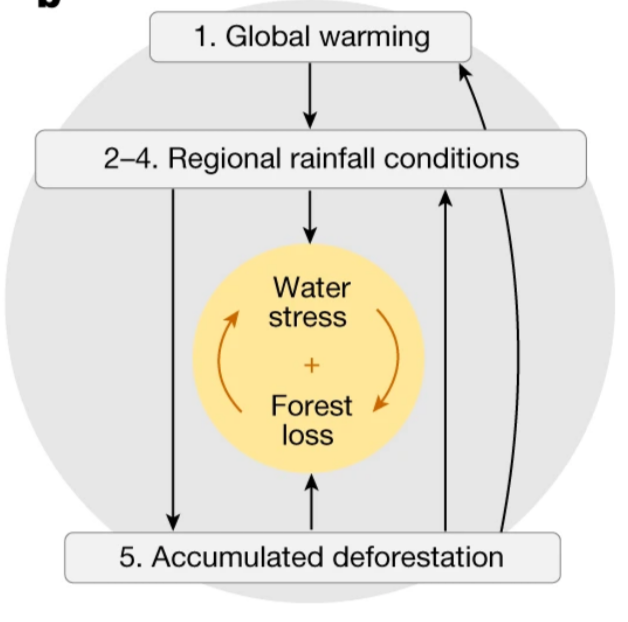 James Albert 🐟 🇺🇦 tweet media