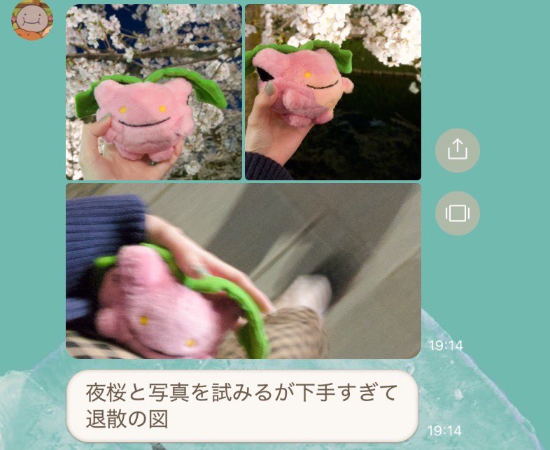 かにｻﾝﾊﾞ₍₍⁽⁽🦀₎₎⁾⁾ tweet media