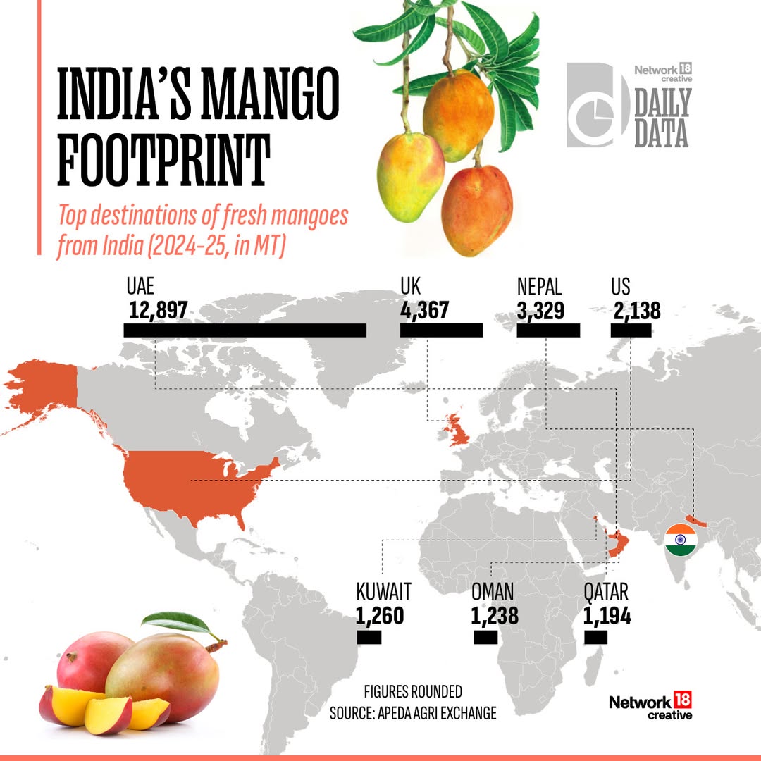 CNBC_Awaaz's tweet image. India is the biggest producer of mangoes in the world. These are its top export destinations.

#India #Mango #Lifestyle