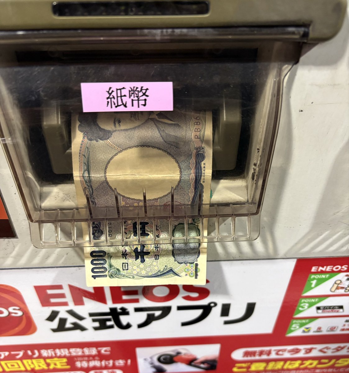 猫パンダ tweet media