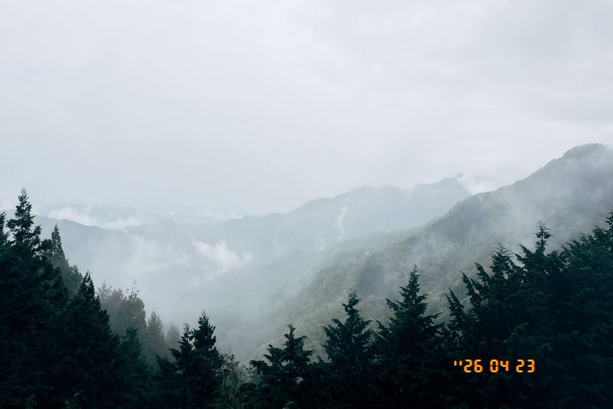 おきゃん💮 tweet media