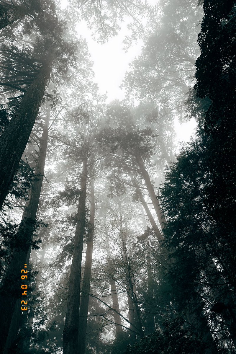 おきゃん💮 tweet media