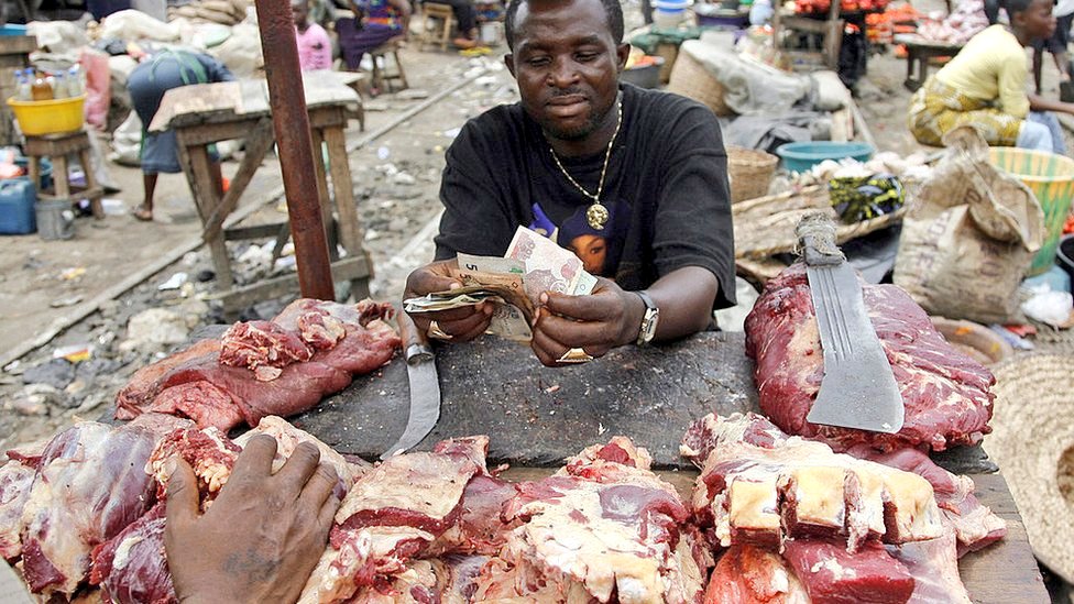 Millishield 01 🚘🌽🫑🌶🦈🐔 tweet media