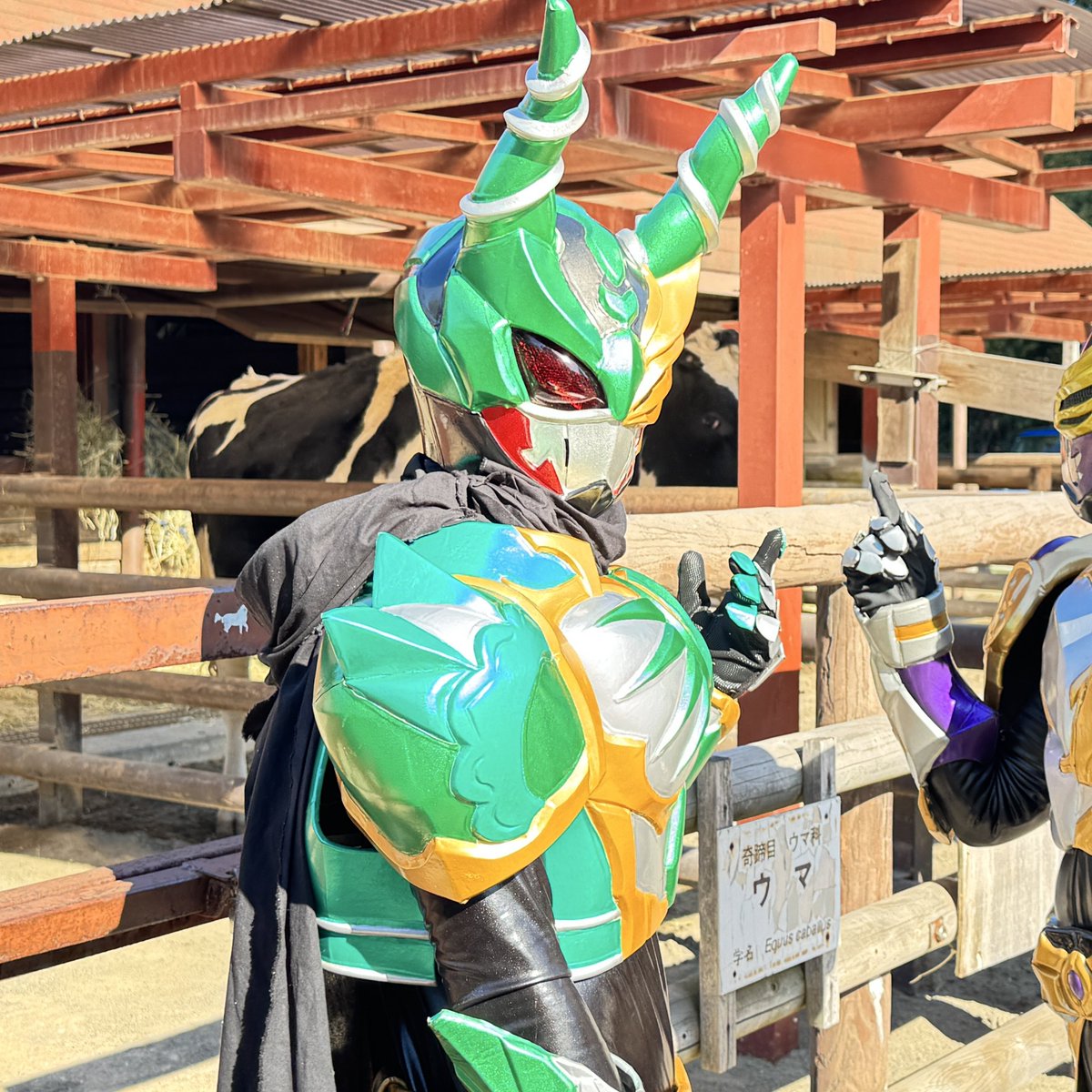 #ドラゴンの日

激神ファフニールクロマツ　市川市のご当地ヒーロー