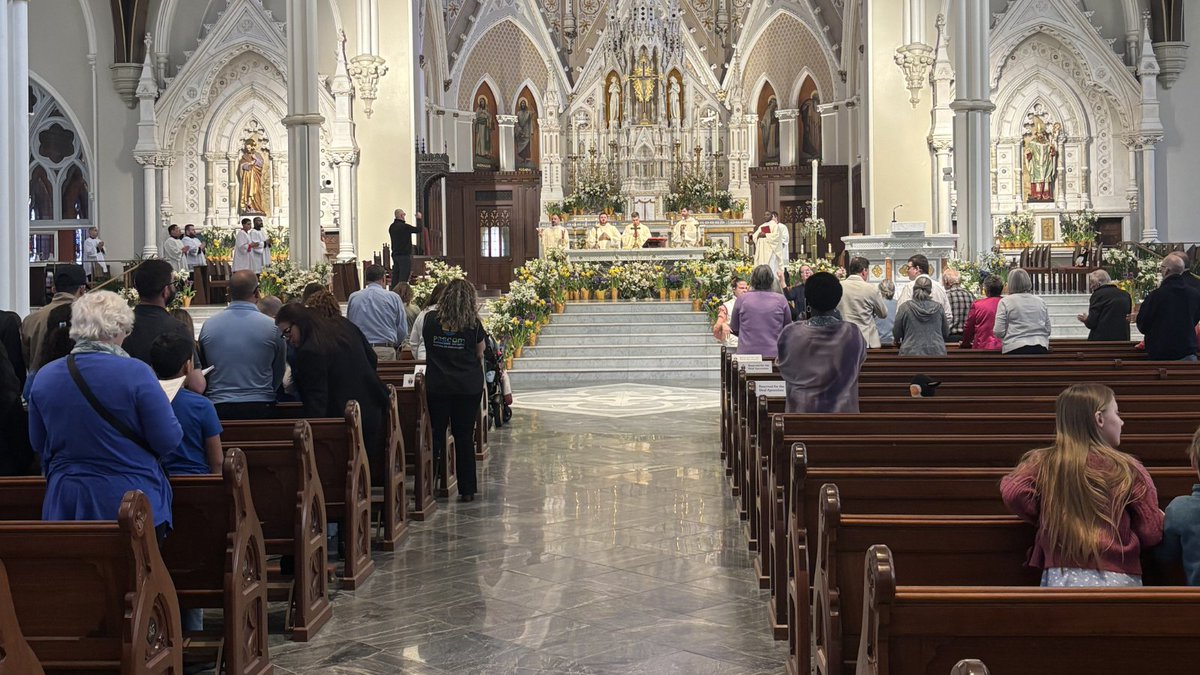 Archdio. of Boston tweet media