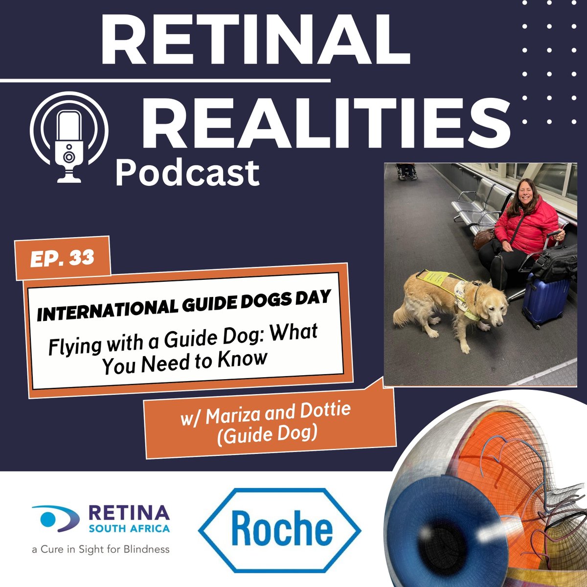 Retinal Realities tweet media