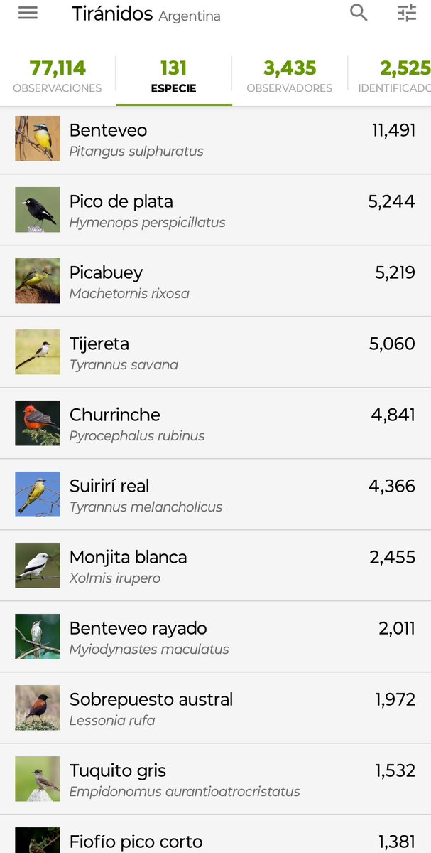 Juane Dajil tweet media