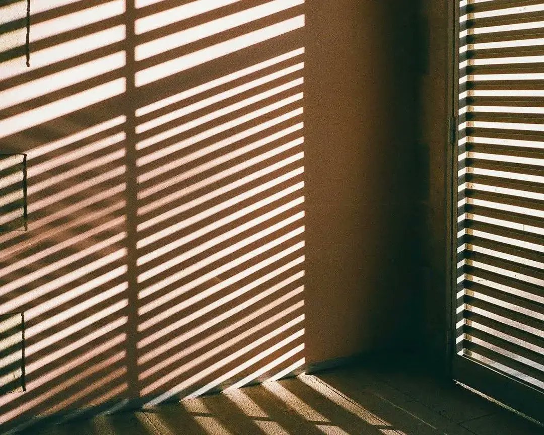 KirstenMadsen4's tweet image. "Photography 101: Start with what you see! No fancy gear needed—your phone’s camera + noticing light = great first shots.  #PhotographyForBeginners #CaptureTheMoment"