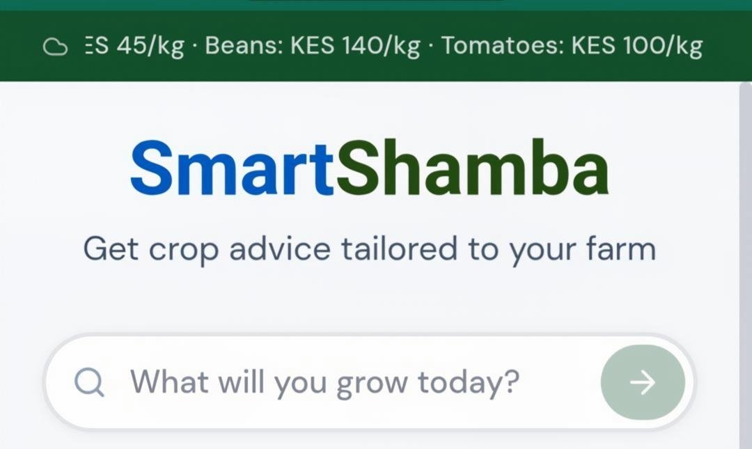 BasedKago's tweet photo. We've crossed 1000+ users since launch 21 days ago!

What will you Grow today?

#SmartShamba https://t.co/9ZUwecTv7Z