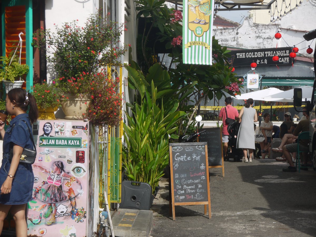 Habu Chan tweet media