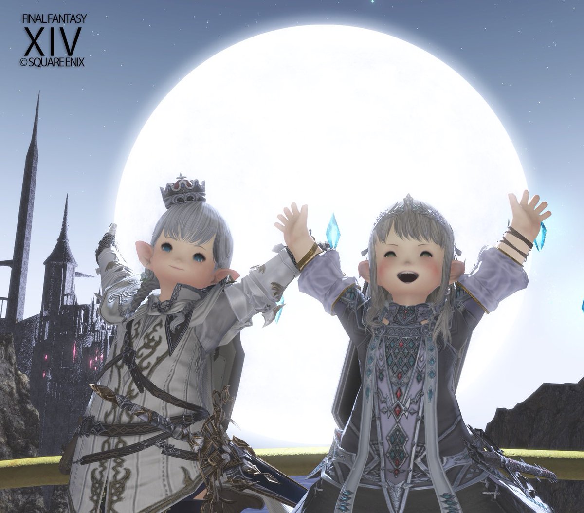 ichigo millefeuille @ Mandoragora tweet media