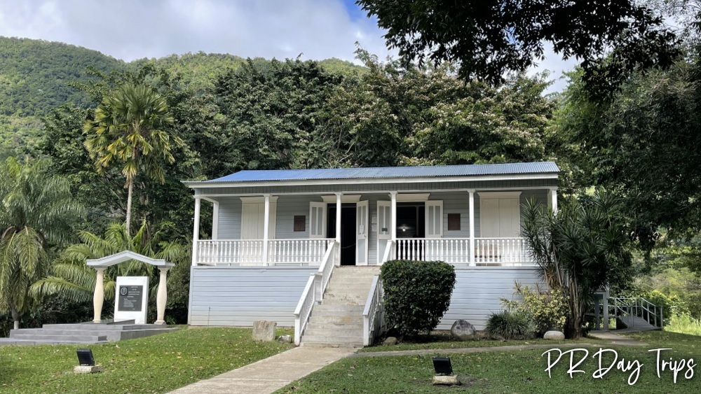 PuertoRicoDayTrips tweet media