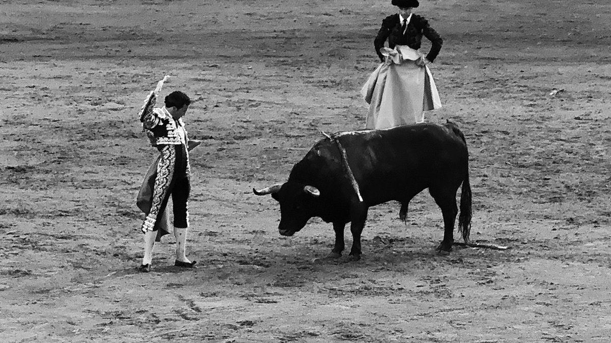 TercioQuites's tweet photo. Siempre me he manifestado muy contrario al indulto, pero pienso en frío y no le vi ningún defecto a Secretario. 

Si algo le agradezco a Miranda es su predisposición para matarlo en los medios. Fue algo verdaderamente memorable. https://t.co/zlLjzNvAYQ