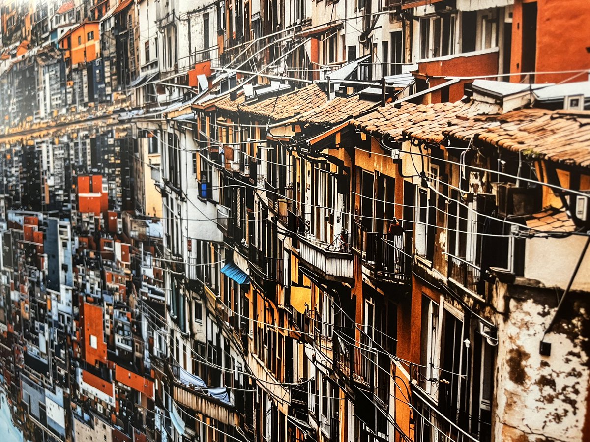 Alkan Avcıoğlu tweet media